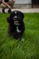 Cedric OSCHE - AuthenPik Studio