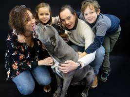 Jean-Marc PENRATH - STUDIO DES VIGNES D'AVARICUM